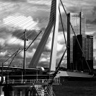 Rotterdam The swam bridge